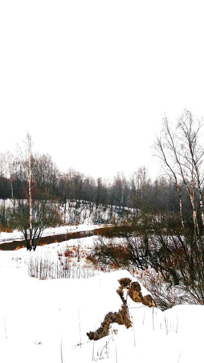 河流，森林，冬天不结冰的雪
