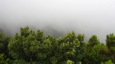 特内里费岛风景优美