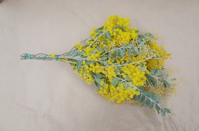 如何用含羞草做花环