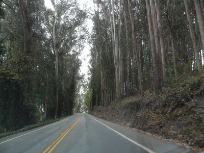 路