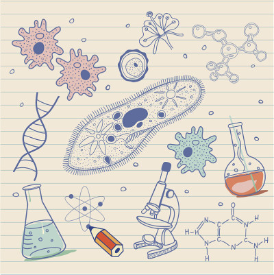 生物学草图