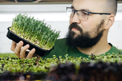 在室内垂直花园种植微型绿色植物的农民