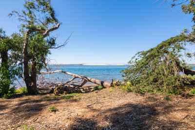 Morro Bay State Park, Morro Bay State Marine Reser