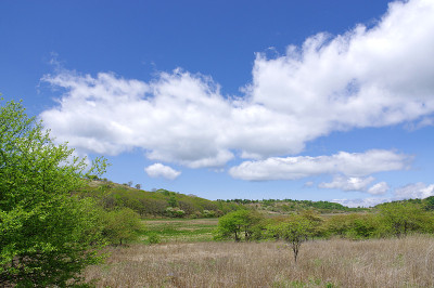 山野县