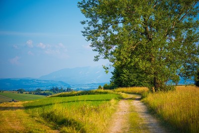 波兰农村道路