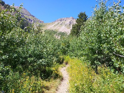 Timpanooke trail, American Fork, Utah
