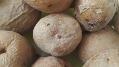 近距离观看新鲜有机土豆市场:土豆背景纹理