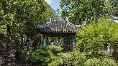 狮子林园(狮子林)在中国苏州