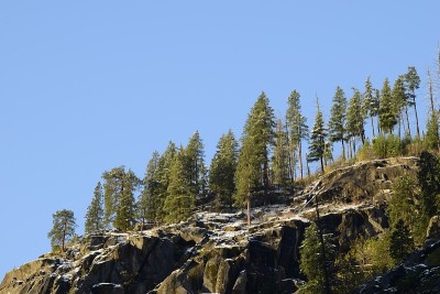 Trees On Slanted Mountain Against Clear Blue Sky