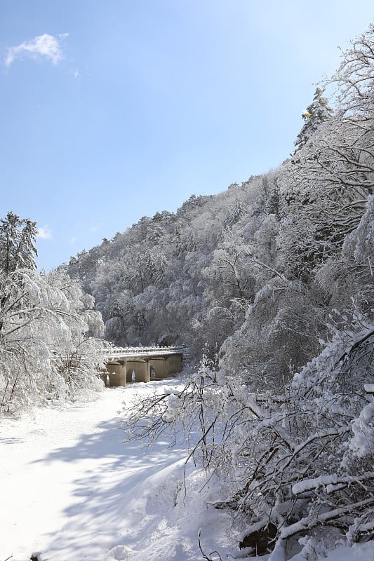 美丽的冬天的风景。雪山、树木和桥景(韩国江原道御田山国家公园)