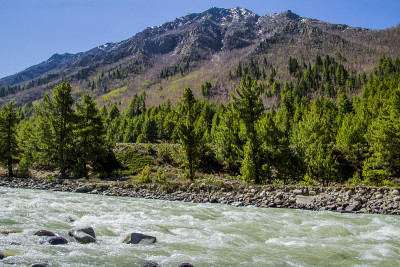 美丽的河流流经Chitkul