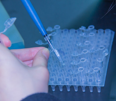 一步PCR