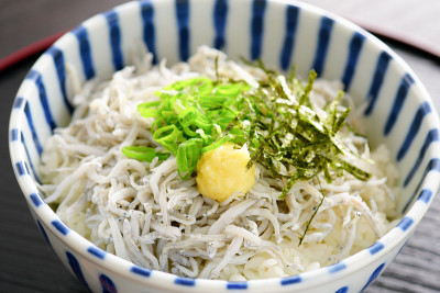 shirasu堂。银鱼碗。日本的食物。
