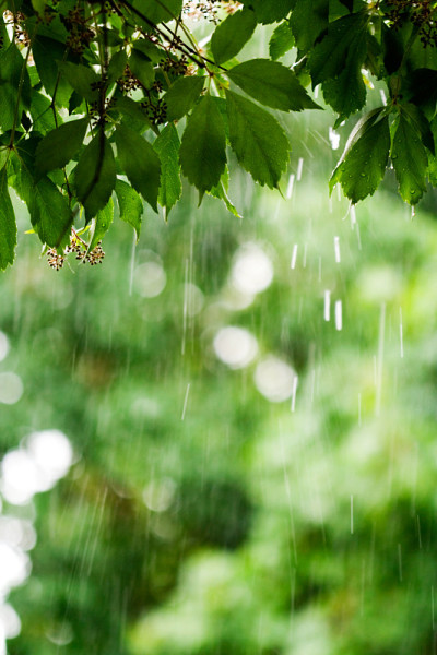 雨天