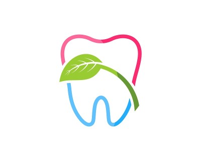 健康的牙齿轮廓和绿色的自然叶子里面