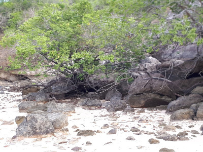 另一个DO chao - santarem - amazon - para - brasil