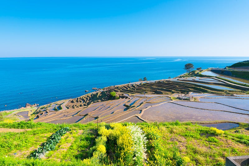 千田城龙，石川，日本