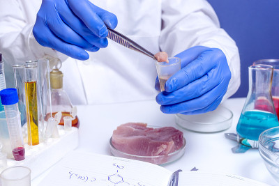 实验室肉制品质量控制专家检验