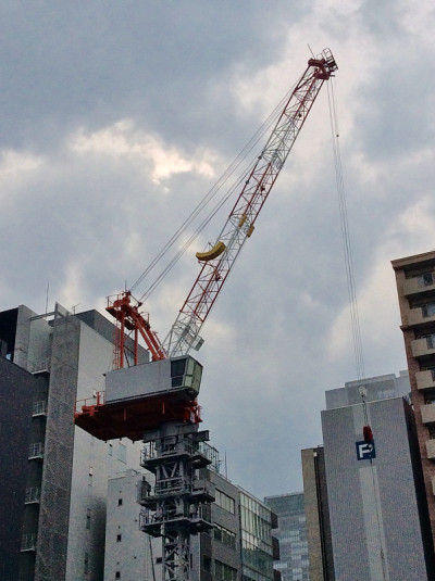 日本东京的鹤