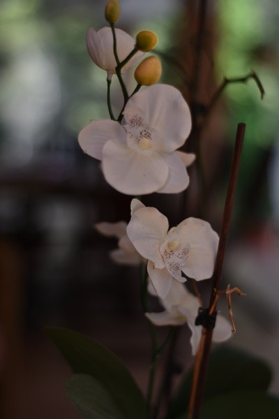 人造花卉