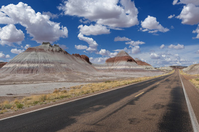 在亚利桑那州石化沙漠国家公园的一条道路的风景
