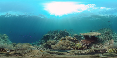 一个珊瑚礁水下世界360VR