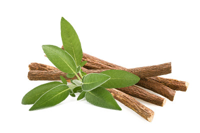 鼠尾草和甘草根