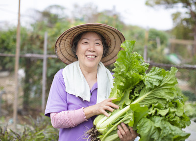女蔬菜老农