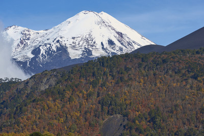 火山的亚