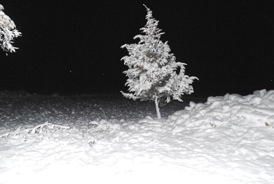 伯利恒乡村的积雪。