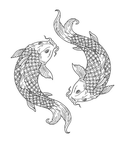 两个锦鲤鲤鱼。阴阳符号。复古版画单色插图。孤立在白色