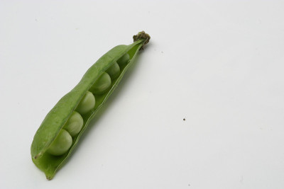 豆荚里的豌豆