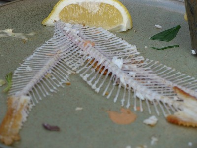 索蕾酸奶