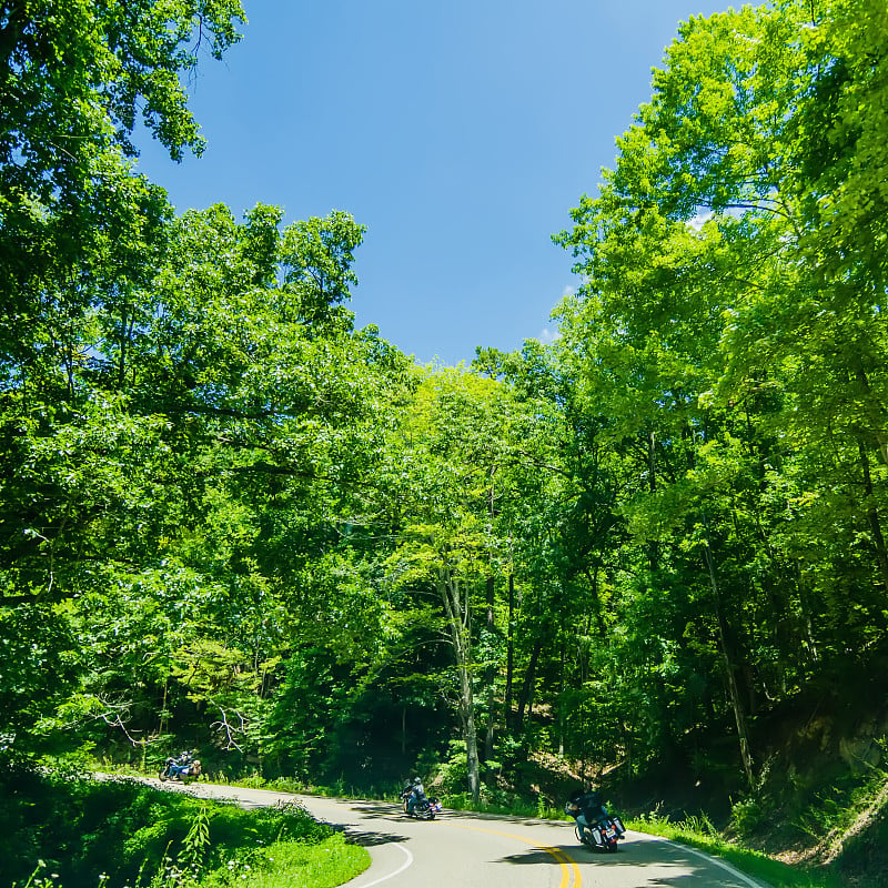 龙尾景区路位于大烟山