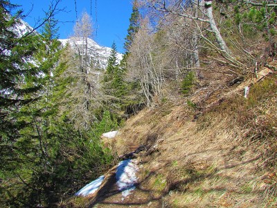 以上路径Pokljuka