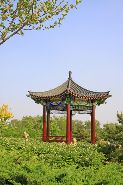 一个植物园的亭子，特写照片