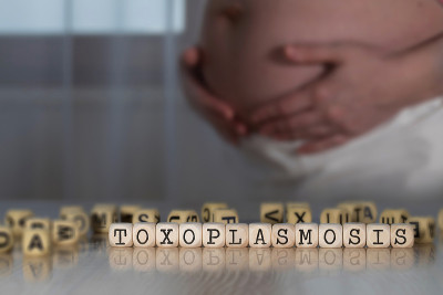 由木制字母组成的单词TOXOPLASMOSIS。