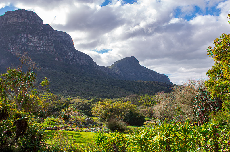 风景在Kirstenbosch