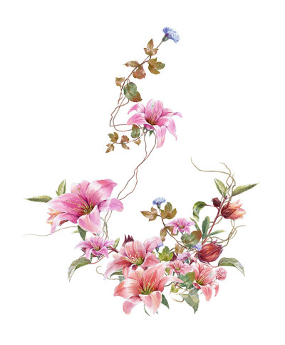 水彩画的叶子和花，在白色的背景