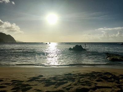 美丽的小海湾/天堂湾-多巴哥(加勒比海的特立尼达和多巴哥岛):原生态的沙滩，海浪和蓝天