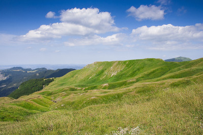 山地景观