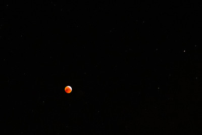 2019年1月21日，被星星包围的血月