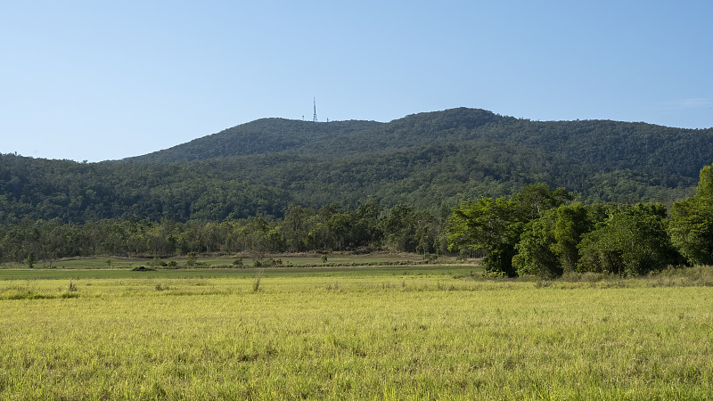 山景观