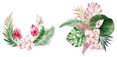 水彩画的热带树叶，树枝，蕨类和粉红色的花。
