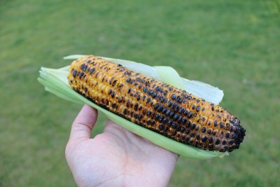 食物