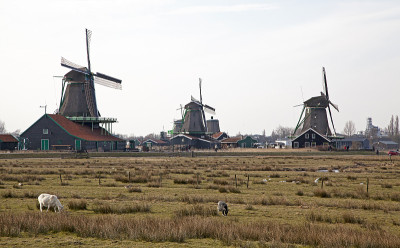 Zaanse Schans博物馆的风车