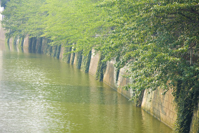 目黑河