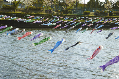 Koinobori