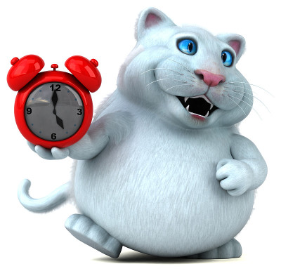有趣的猫- 3D插图