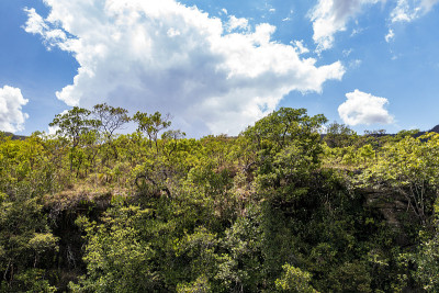 veadeiros的Chapada dos veadeiros